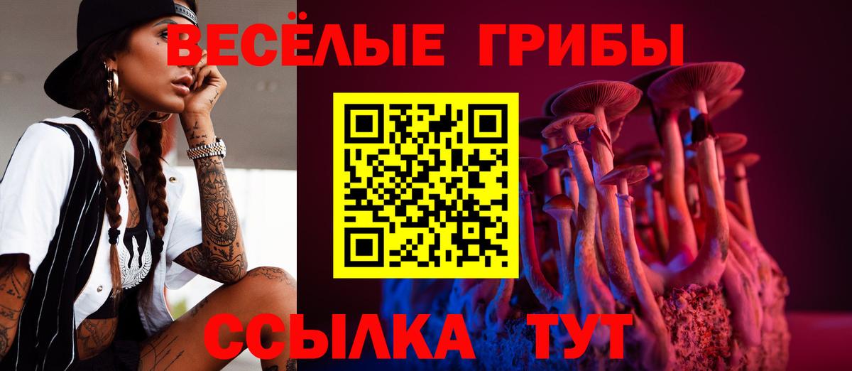 Галлюциногенные грибы GOLDEN TEACHER Дзержинский